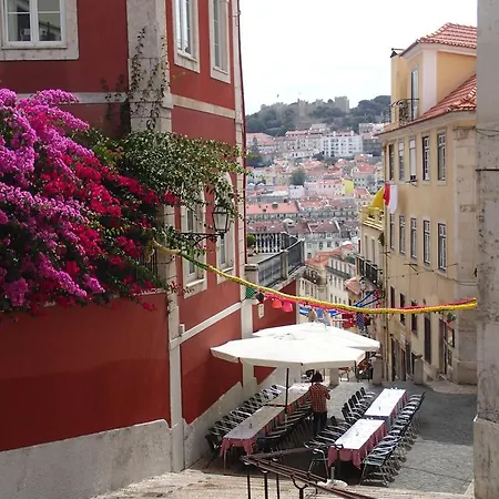 Loving Chiado *